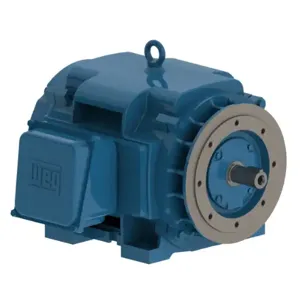 WEG 30036OT3G445TSC-RF Electric Motor, 300Hp, 60Hz, 3600 Rpm | BC3JHR