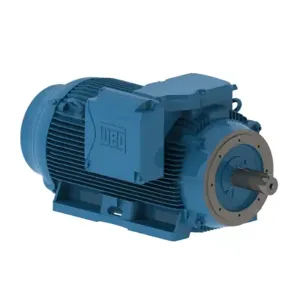 WEG 30018ET3G449TC-W22 Electric Motor, 300Hp, 60Hz, 1800 Rpm | BB9VLE