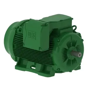 WEG 35018EG3G449TS-W22 Electric Motor, 350Hp, 60Hz, 1800 Rpm | BB9FXN