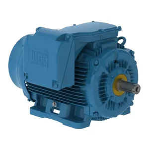 WEG 50018ET3GKD580Z-W22 Electric Motor, 500Hp, 60Hz, 1800 Rpm | BB9BDR