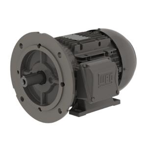 WEG .5536EP3EAL71FF-W22 Electric Motor, 0.55Hp, 60/50Hz, 3600 Rpm | BC3FFX