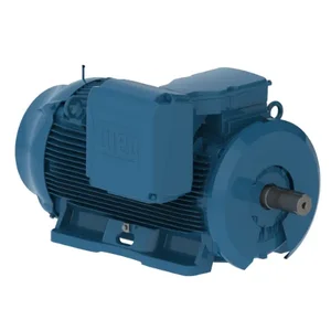 WEG 50012ET3G586/7-W22 Electric Motor, 500Hp, 60Hz, 1190 Rpm | BB6YWA