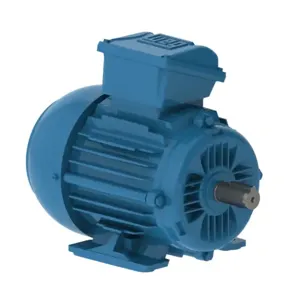 WEG E00112EP3WAX90LF3-W2 Electric Motor, 1.1Hp, 50Hz, 1000 Rpm | BB9QVL