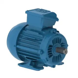 WEG E00236ET3WAX90LF3-W2 Electric Motor, 2.2Hp, 50Hz, 3000 Rpm | BC3FHG