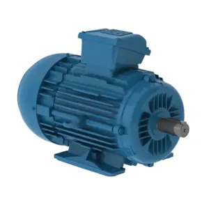 WEG E00318ET3WAXL100LF3W Electric Motor, 3Hp, 50Hz, 1500 Rpm | BC3JLN