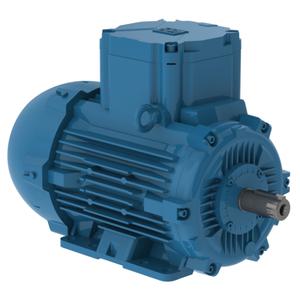 WEG E00152XP3WAX100LF3-W Electric Motor, 1 1/2Hp, 50Hz, 1000 Rpm | BC2CAC