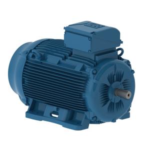 WEG E15012EP3YAX355MLF3W Electric Motor, 150Hp, 50Hz, 1000 Rpm | BB9HET