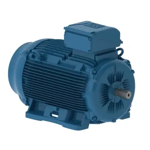 WEG E07518EP3YAX280SMF3W Electric Motor, 100Hp, 50/60Hz, 1500/1800 Rpm | BB7BQY