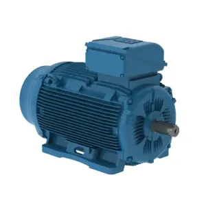 WEG E15012ET3YAX315LF3W2 Electric Motor, 150Hp, 50Hz, 1000 Rpm | BC3FLY