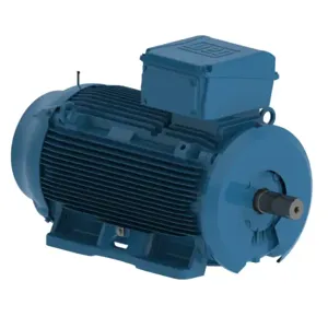 WEG E20012EP3YAX315LF3-W Electric Motor, 200Hp, 50/60Hz, 1000 Rpm | BC3BYY