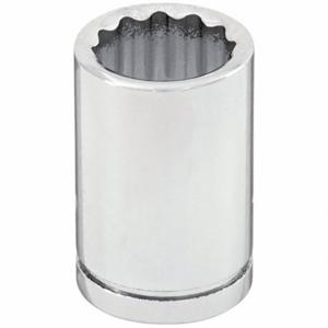 WESTWARD 1EZU9 Socket 1/4 Inch Drive 12mm 12 Point Standard | AA9TAU