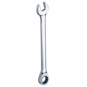 WESTWARD 5MZ26 Ratcheting Combination Wrench 15mm | AE4VKB