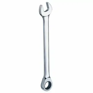 WESTWARD 1LCJ6 Ratcheting Combination Wrench 25mm | AB2DLQ