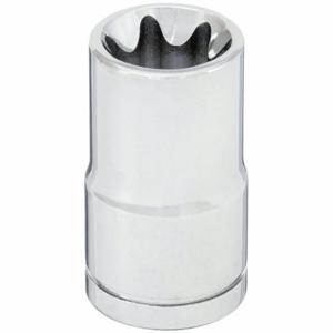 WESTWARD 20HX41 External Star Socket E16 | AF6TVC