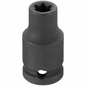 WESTWARD 20HX72 Star E Socket 1/4 Inch Drive E7 | AF6TWA