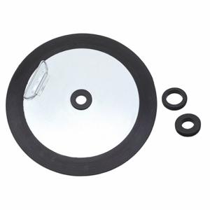 WESTWARD 29FX09 Grease Pump Follower Plate | AB8VBA