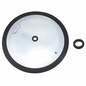 WESTWARD 29FX10 Grease Pump Follower Plate | AB8VBB