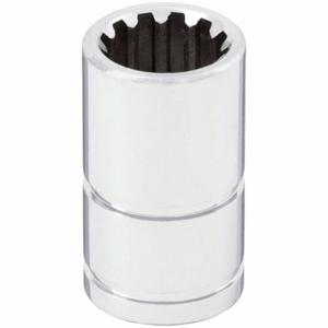 WESTWARD 33M327 Socket 1/4 Inch Drive 6mm 12 Point Standard | AC6FMQ