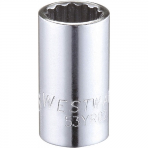 WESTWARD 53YR02 Sockel, legierter Stahl, 5/16 Sockelgröße, 1/4 Antriebsgröße | AX3NFQ