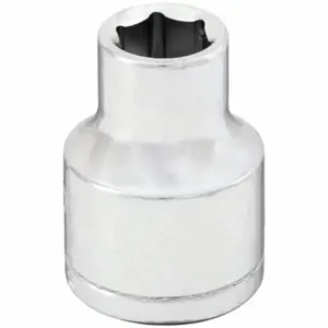 WESTWARD 53YR65 Socket, 3/8 Inch Drive Size, 5/16 Inch Socket Size, 6-Point Chrome | CU9WXU