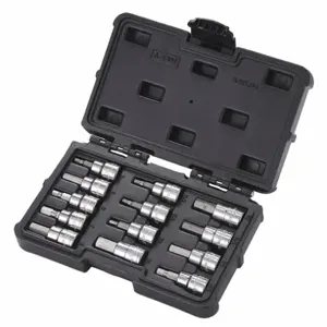 WESTWARD 54TL55 Socket Bit Set, 3/8 Inch Drive Size, Chrome Finish, Number of Pieces 13 | CD3LPF