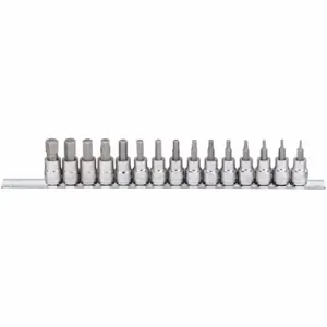 WESTWARD 54TM33 Alloy Steel Socket Bit Set, 3/8 Inch Drive Size, Chrome Finish, No. of Pieces 15 | CD2MLB