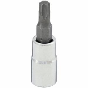 WESTWARD 54TN13 Socket Bit, 1/4 Inch Drive Size, Torx Tip, T30 Tip Size, 1 1/2 Inch Length, Torx | CV2AFA