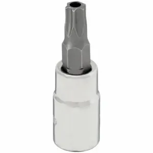 WESTWARD 54TN24 Socket Bit, 1/4 Inch Drive Size, Tamper Resistant Torx Tip, T30 Tip Size | CV2AER