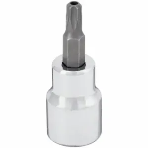 WESTWARD 54TN37 Socket Bit, 3/8 Inch Drive Size, Tamper Resistant Torx Tip, T27 Tip Size | CV2AHZ