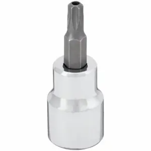 WESTWARD 54TN38 Socket Bit, 3/8 Inch Drive Size, Tamper Resistant Torx Tip, T30 Tip Size | CV2AJA