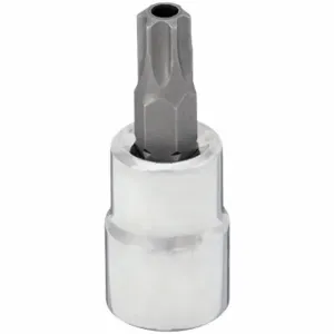 WESTWARD 54TN39 Socket Bit, 3/8 Inch Drive Size, Tamper Resistant Torx Tip, T40 Tip Size | CV2AJB