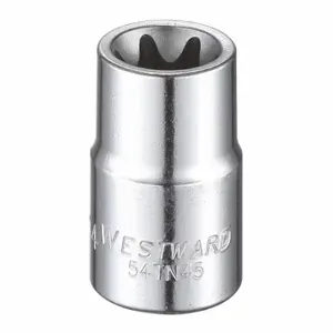 WESTWARD 54TN45 Socket, 3/8 Inch Drive Size, E14 Socket Size, External Torx Chrome | CU9WYX