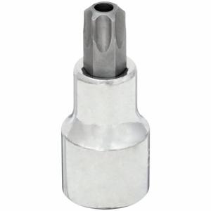 WESTWARD 54TN65 Socket Bit, 1/2 Inch Drive Size, Torx Tip, T55 Tip Size, 2 1/2 Inch Length, Torx | CV2ACK