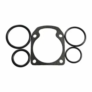 WESTWARD MH4PME503G Piston O-Ring Kit | AJ2APP 46H412