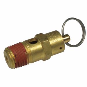 WESTWARD PN2406018AG Pressure Relief Valve | AH9WZV 45M778