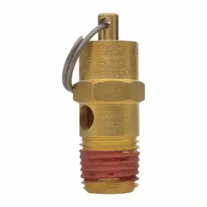 WESTWARD PN2406021AG Pressure Relief Valve | AH9XCE 45M875