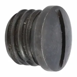 WESTWARD PN5ZL11005G Throttle Plug | AH9WTQ 45M056