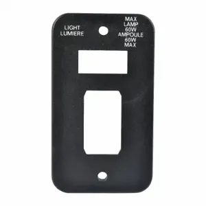 WESTWARD TT10812706G Switch Cover | CU9ZNJ 45T579