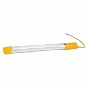 WESTWARD TT10Z916LPG Lamp | AH9WNV 45L775