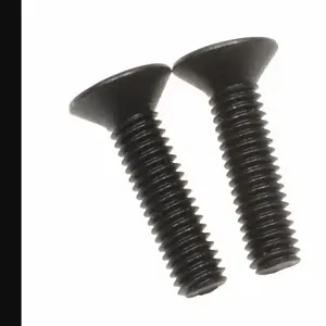 WESTWARD TT126308G Screw, 2 PK | CU9ZBU 45P866