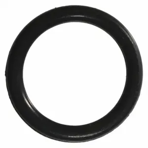 WESTWARD TT13005G O-Ring | CU9YED 45P845