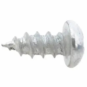 WESTWARD TT13014G Screw, 2 PK | CU9ZKX 45P836