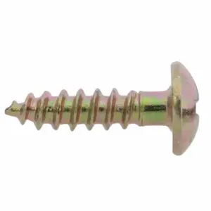 WESTWARD TT16340G Screw | CU9ZBR 45P072