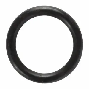 WESTWARD TT2041102010600G O-Ring | CU9YEH 45N864