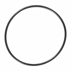 WESTWARD TT2041109040500G O-Ring | CU9YDV 45N856