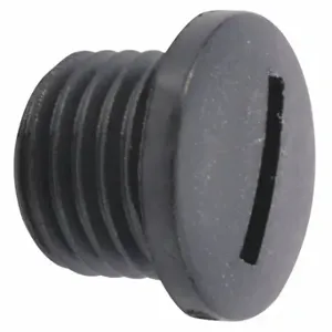 WESTWARD TT238L01G Plug | CU9YWK 45N568