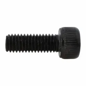 WESTWARD TT28331G Screw PK8 | AH9XUZ 45R182