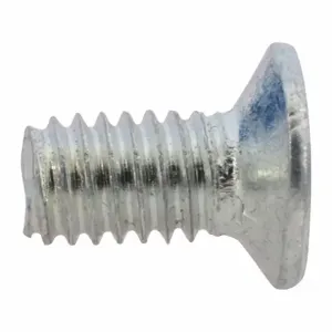 WESTWARD TT28343G Screw PK12 | AH9XUU 45R173