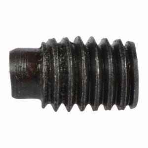 WESTWARD TT28880.00JG Dog Point Set Screw 6-1.0 x 12mm | AH9WLH 45L642