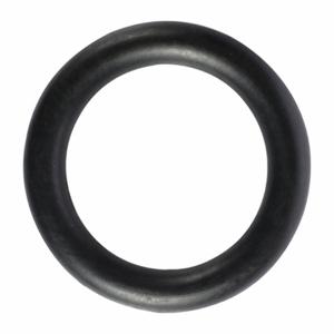 WESTWARD TT2CUC92G Swivel O-Ring Kit 1/2 | AH9XKK 45N281